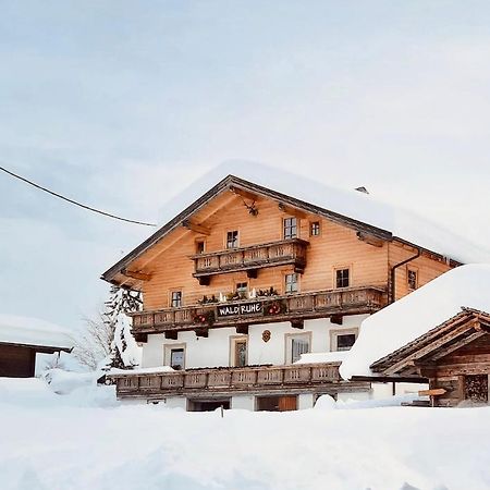 Waldruhe Appartements Sankt Jakob in Defereggen Dış mekan fotoğraf